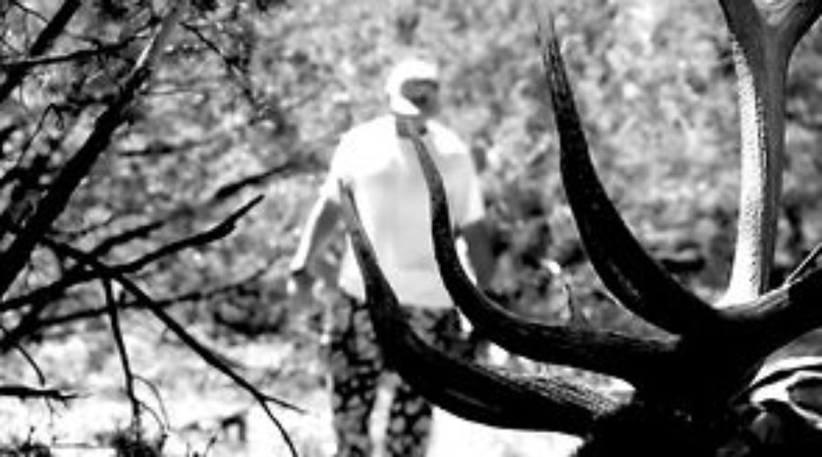 FILM:  ZAC GRIFFITH’S NEW MEXICO ARCHERY ELK HUNT:  “The Worst Elk Hunting Movie Ever”