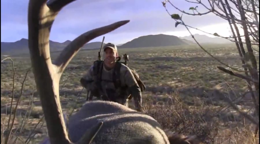 TOP 5 JOHN STALLONE: “HUNTING COUES DEER”