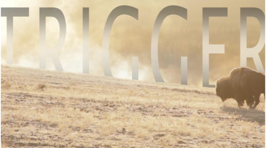 TOP 5 LUKE SURMA:  “TRIGGER”