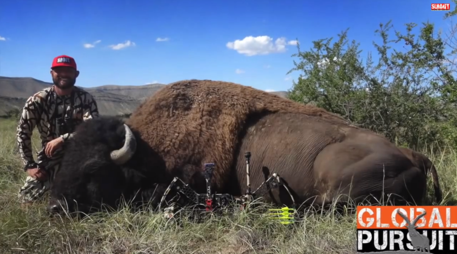 FILM:  ZAC GRIFFITH BUFFALO SAFARI: Part 2