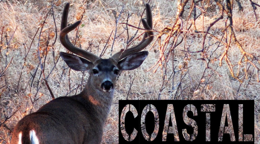 ZAC GRIFFITH: “COASTAL: A NorCal Blacktail Story”