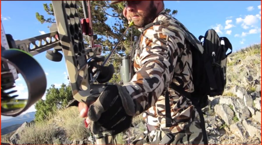 ZAC GRIFFITH ARCHERY SHOT ON NON-TYPICAL MULE DEER!!!