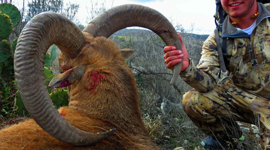 700 YARD AOUDAD KILL SHOT!!!