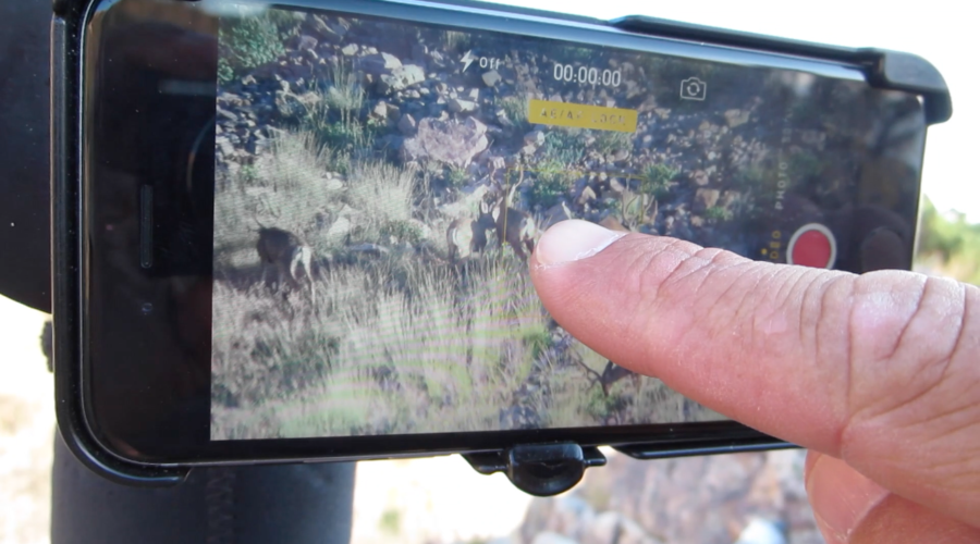 PHONE SKOPE TIPS & TACTICS: Using Auto-Focus