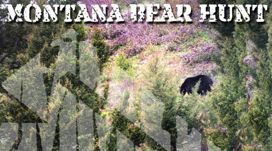 ZAC GRIFFITH and MONTANA WILD BEAR HUNT