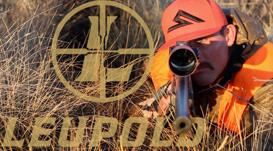 MULE DEER KILL SHOT