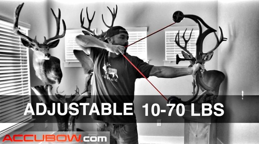 WHY ACCUBOW?