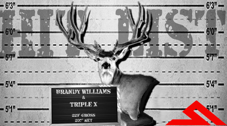 HITLIST: BRANDY WILLIAMS