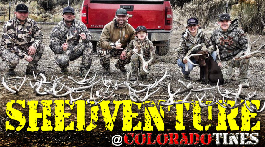 SHEDVENTURE WITH COLORADO TINES!!!