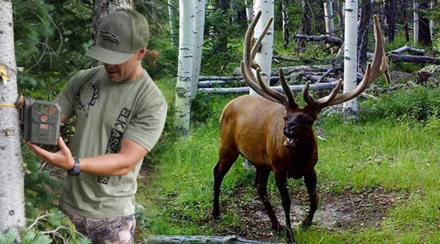 TRAIL CAMS 101 WITH RYAN CARTER