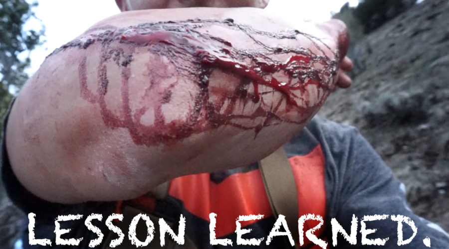 LESSON LEARNED…