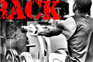 BACK AND TRAPS WORKOUT