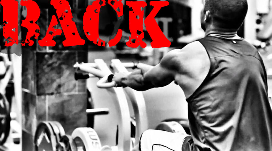 BACK AND TRAPS WORKOUT