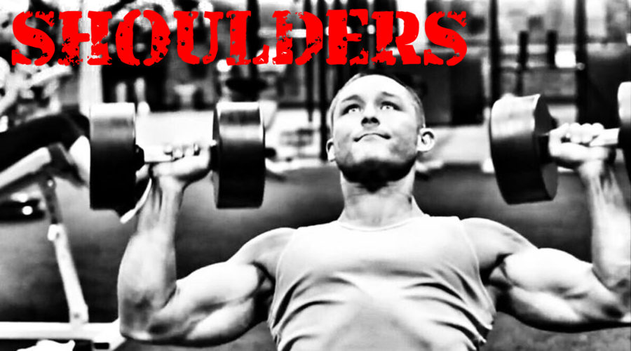 SHOULDERS AND TRICEPS WORKOUT