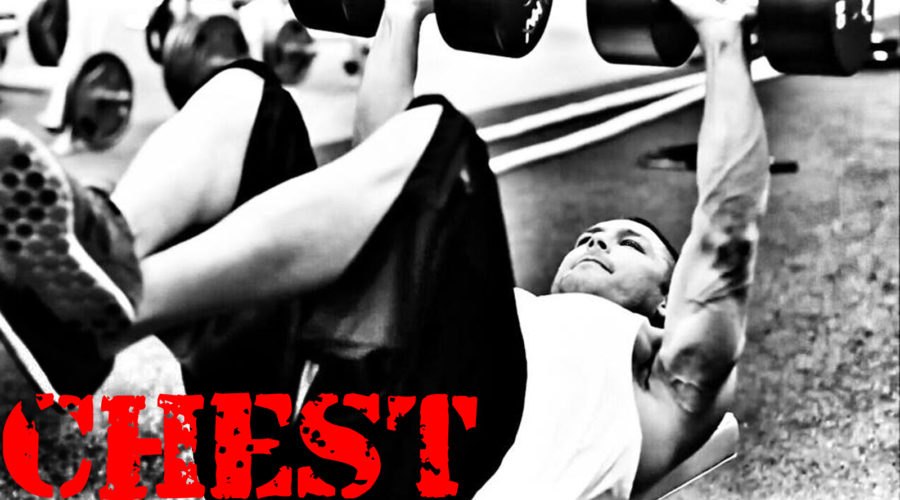CHEST AND TRICEPS WORKOUT