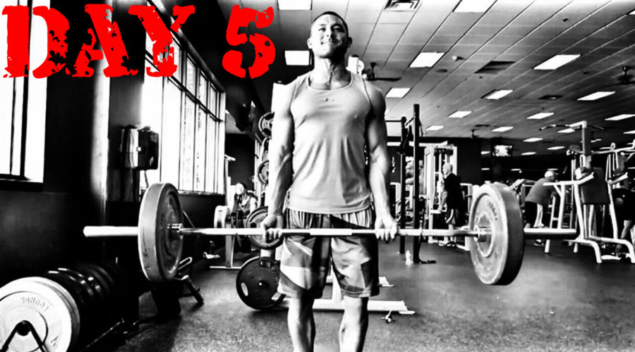 DAY 5 WORKOUT